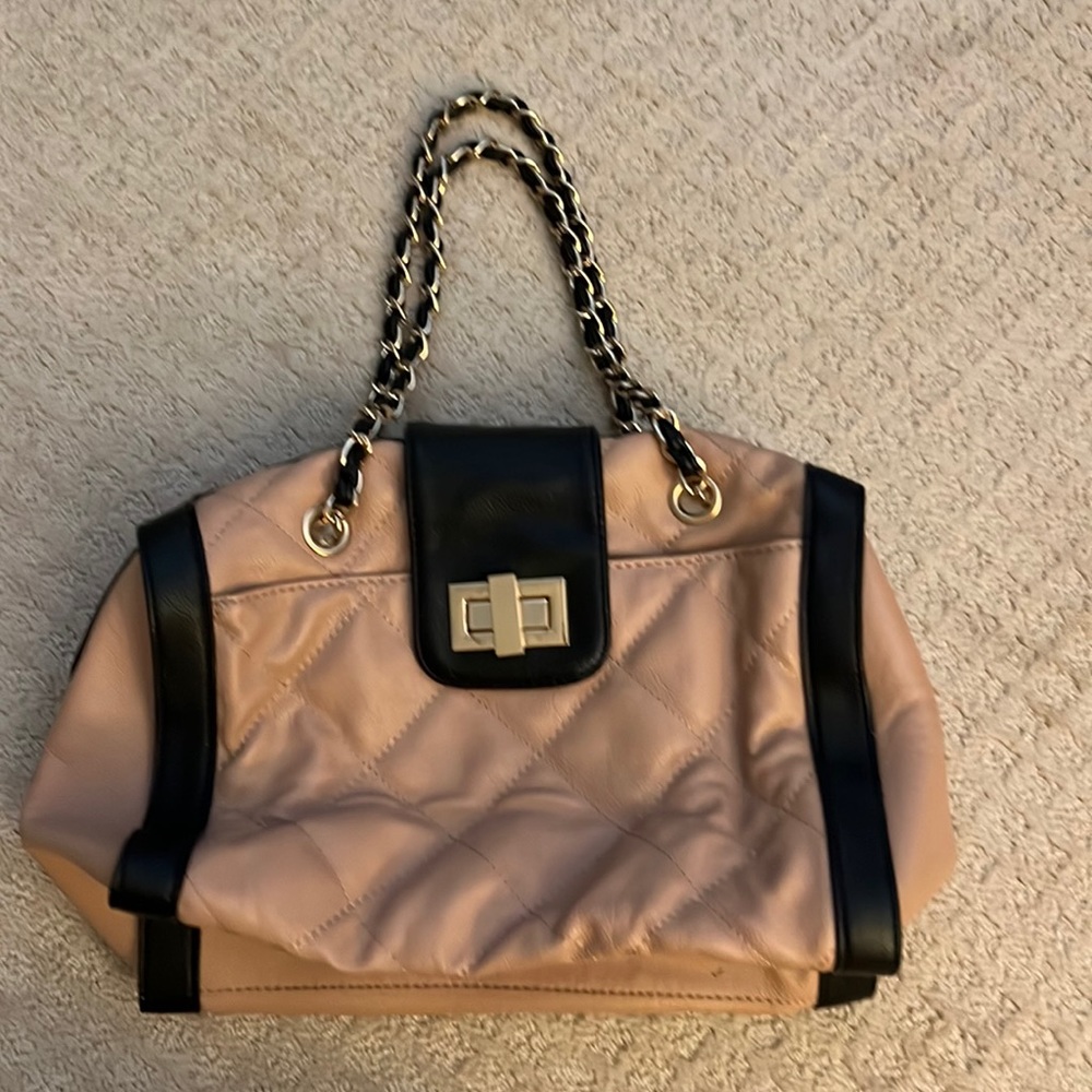 Aldo purse